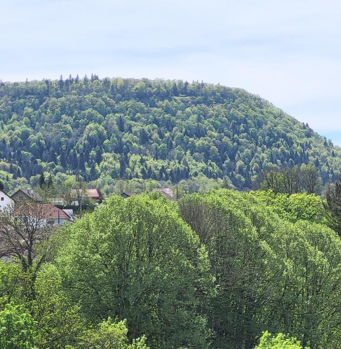 france/bourgogne-franche-comte/champagnole/belvedere-de-benedegand