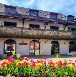 france/bourgogne-franche-comte/champagnole/musee-archeologique