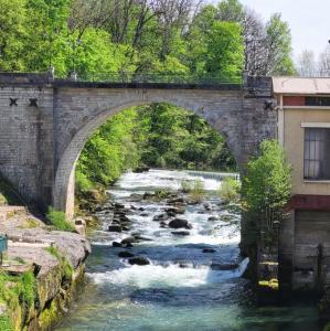 france/bourgogne-franche-comte/champagnole/promenade-des-bords-de-l-ain