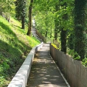 france/bourgogne-franche-comte/champagnole/promenade-des-bords-de-l-ain