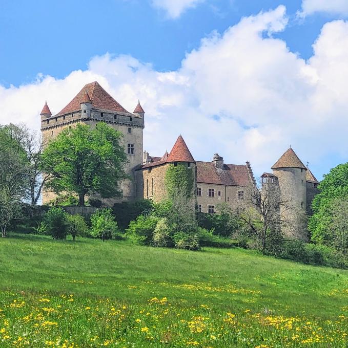 france/bourgogne-franche-comte/chateau-du-pin