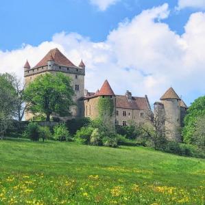 france/bourgogne-franche-comte/chateau-du-pin