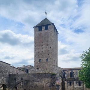 france/bourgogne-franche-comte/cluny