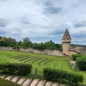 france/bourgogne-franche-comte/cluny