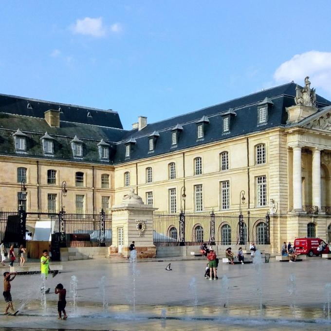 france/bourgogne-franche-comte/dijon/palais-des-ducs-de-bourgogne