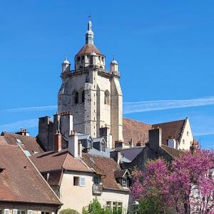 france/bourgogne-franche-comte/dole/cathedrale