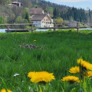 france/bourgogne-franche-comte/lac-de-l-abbaye