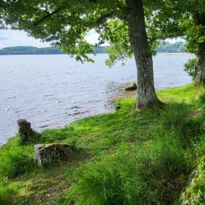 france/bourgogne-franche-comte/lac-des-settons/base-nautique-des-branlasses