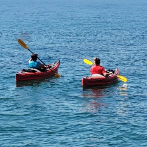 france/bourgogne-franche-comte/lemme