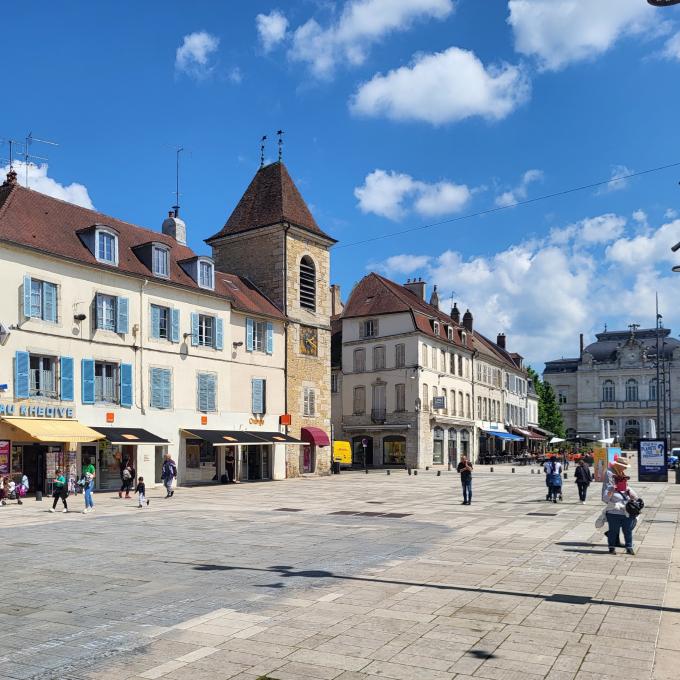 france/bourgogne-franche-comte/lons-le-saunier/place-de-la-liberte-rues-commercantes