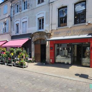 france/bourgogne-franche-comte/lons-le-saunier/place-de-la-liberte-rues-commercantes