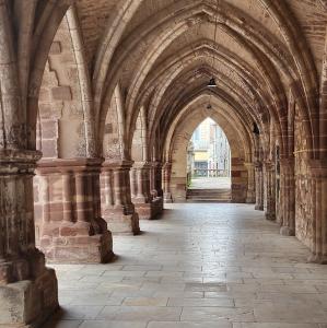 france/bourgogne-franche-comte/luxeuil-les-bains/abbaye-saint-colomban-cloitre