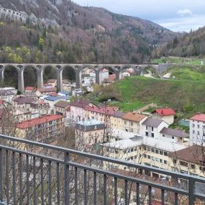 france/bourgogne-franche-comte/morez/panorama