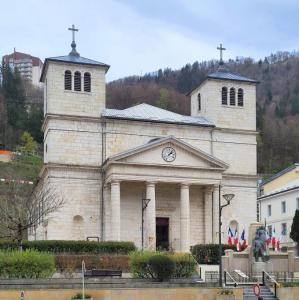 france/bourgogne-franche-comte/morez/rue-de-la-republique