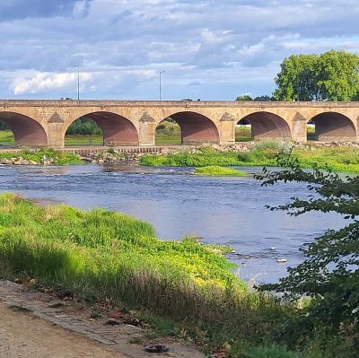 france/bourgogne-franche-comte/nevers/pont-de-loire-panorama