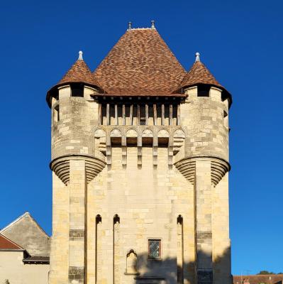 france/bourgogne-franche-comte/nevers/porte-du-croux-musee-archeologique-du-nivernais
