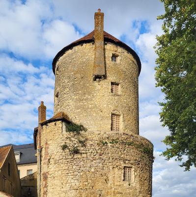 france/bourgogne-franche-comte/nevers/tour-goguin