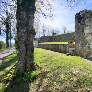 france/bourgogne-franche-comte/nozeroy/chateau-panorama