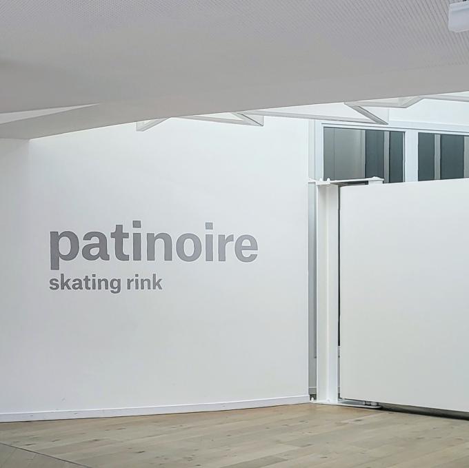 france/bourgogne-franche-comte/premanon/patinoire