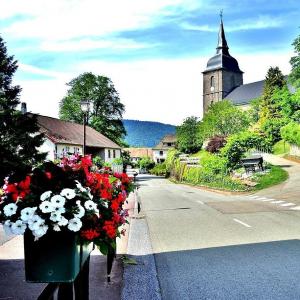 france/bourgogne-franche-comte/route-des-fleurs