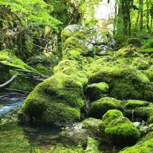 france/bourgogne-franche-comte/saint-claude/gorges-de-l-abime-trou-de-l-abime