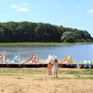 france/bourgogne-franche-comte/saint-fargeau/lac-du-bourdon