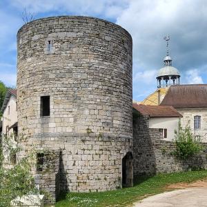 france/bourgogne-franche-comte/salins-les-bains/tour-de-flore