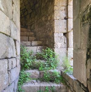 france/bourgogne-franche-comte/salins-les-bains/tour-de-flore