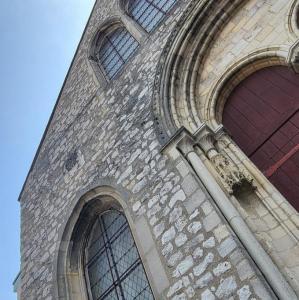 france/bourgogne-franche-comte/sens/eglise-saint-pierre-le-rond