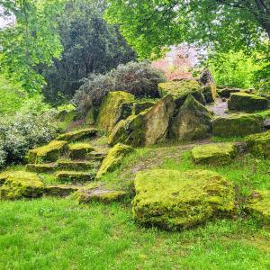 france/bourgogne-franche-comte/vesoul/jardin-anglais