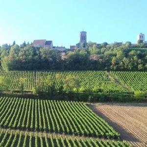 france/bourgogne-franche-comte/vezelay