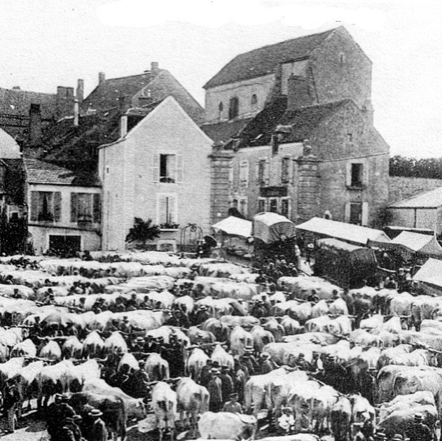 france/bourgogne-franche-comte/vezelay/place-du-champs-de-foire