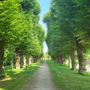 france/bourgogne-franche-comte/villeneuve-l-archeveque/promenade-des-anciens-remparts