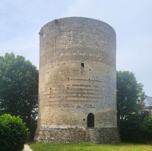 france/bourgogne-franche-comte/villeneuve-sur-yonne/tour-louis-legros