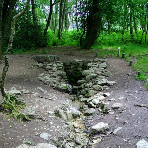 france/bretagne/broceliande/fontaine-de-barenton