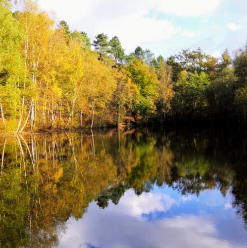 france/bretagne/broceliande/miroir-aux-fees