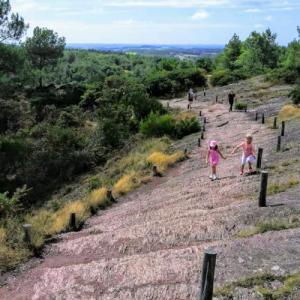 france/bretagne/broceliande