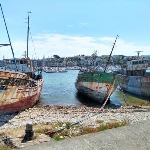 france/bretagne/camaret-sur-mer/epaves-des-bateaux