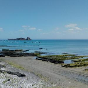 france/bretagne/cancale/parcs-a-huitres