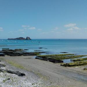 france/bretagne/cancale/parcs-a-huitres