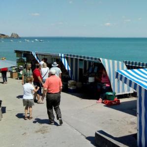 france/bretagne/cancale/petit-marche-aux-huitres