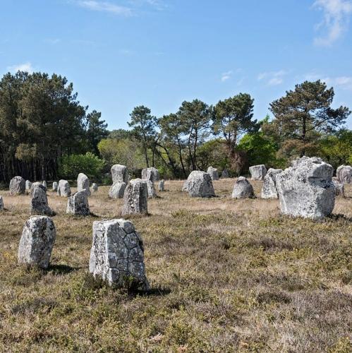 france/bretagne/carnac/menhirs-de-kerlescan