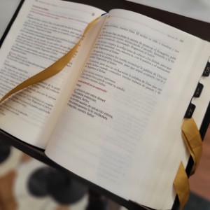 france/bretagne/chapelle-notre-dame-de-languivoa