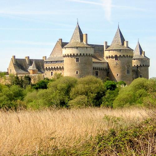 france/bretagne/chateau-de-suscinio