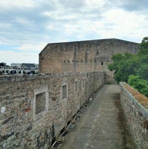 france/bretagne/concarneau/remparts