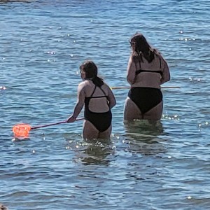 france/bretagne/cote-du-goelo
