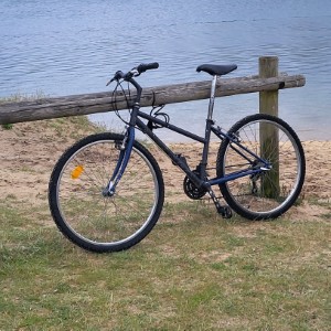 france/bretagne/foret-de-quenecan