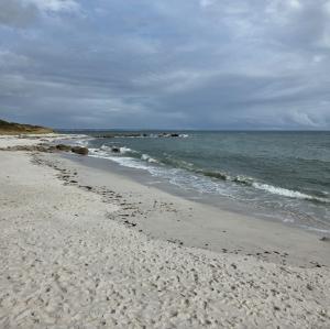 france/bretagne/fouesnant/beg-meil