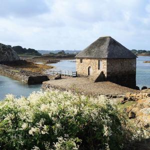 france/bretagne/ile-de-brehat