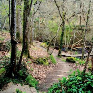 france/bretagne/perros-guirec/vallee-des-traouiero